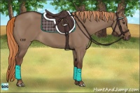 Horse Color:Liver Red Dun Rabicano