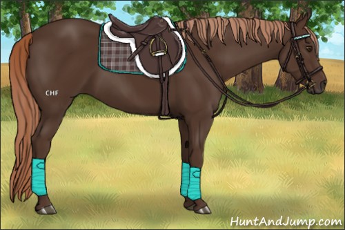 Horse Color:Liver Chestnut Rabicano 