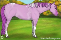 Horse Color:Watercolor Liver Red Dun Tobiano 