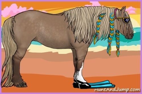 Horse Color:Liver Red Dun Rabicano 