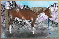 Horse Color:White Spotted Liver Chestnut Rabicano 