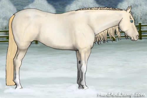 Horse Color:Buckskin Roan Pearl Tobiano  and Buckskin Roan Pearl Tobiano 