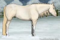 Horse Color:Buckskin Roan Pearl Tobiano and Buckskin Roan Pearl Tobiano