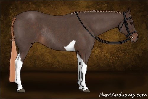 Horse Color:Liver Red Roan Tobiano Rabicano 