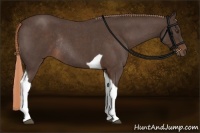 Horse Color:Liver Red Roan Tobiano Rabicano
