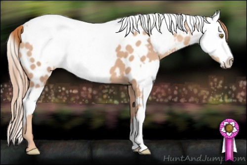 Horse Color:Gold Champagne Near Leopard  and Gold Champagne Dun Near Leopard 