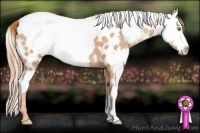 Horse Color:Gold Champagne Appaloosa  and Gold Champagne Dun Appaloosa 