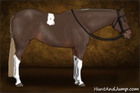 Horse Color:Liver Chestnut Tobiano Rabicano