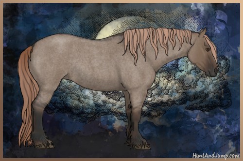 Horse Color:Liver Red Dun Roan Rabicano 