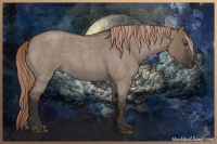 Horse Color:Liver Red Dun Roan Rabicano 