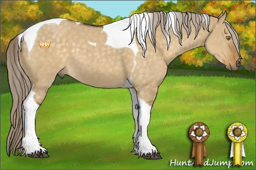 Horse Color:Chocolate Palomino Dun Tobiano 