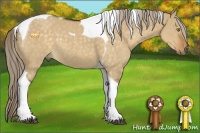 Horse Color:Chocolate Palomino Dun Tobiano 