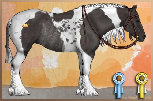 Horse Color:Smoky Black Tobiano Rabicano 