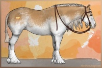 Horse Color:White Spotted Palomino Varnish 