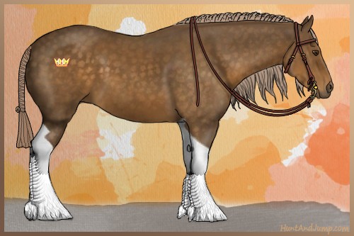 Horse Color:Chocolate Palomino Tobiano 