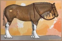 Horse Color:Chocolate Palomino Tobiano 