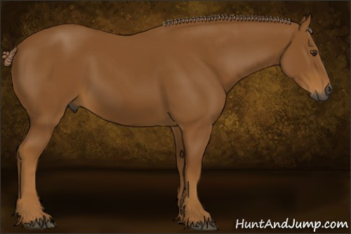 Horse Color:Gray Palomino 