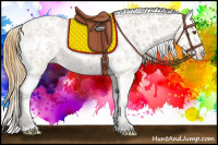 Horse Color:Buckskin Dun Snowcap
