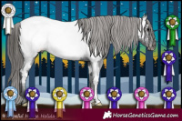 Horse Color:Black Near Fewspot Rabicano 