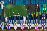 Horse Color:Black Appaloosa Rabicano 