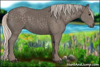 Horse Color:Silver Black 