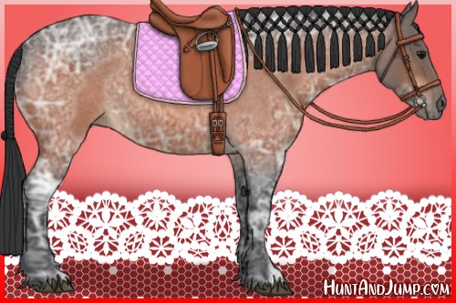 Horse Color:Bay Ice Roan 