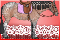 Horse Color:Bay Ice Roan 