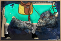 Horse Color:Buckskin Sabino Appaloosa