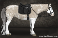 Horse Color:Smoky Grullo Ice Splash 