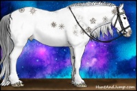 Horse Color:Grullo Sabino Splash 