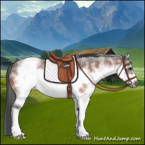 Horse Color:White Spotted Brown Roan Frame 
