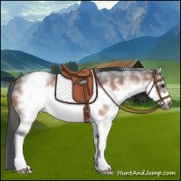 Horse Color:White Spotted Brown Roan Frame