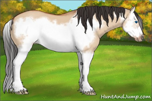 Horse Color:Bay Dun Splash Frame 