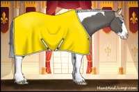 Horse Color:Grullo Splash Tobiano Blanket