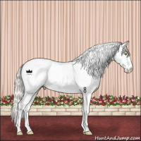 Horse Color:Silver Classic Champagne Dun Splash Tobiano Appaloosa Rabicano