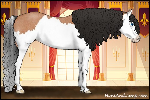 Horse Color:Bay Roan Splash