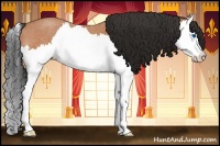 Horse Color:Bay Roan Splash 