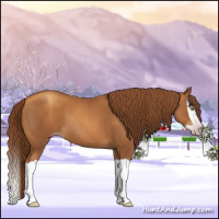 Horse Color:Gray Gold Champagne Splash