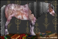 Horse Color:White Spotted Brown Roan Frame 