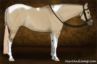 Horse Color:Chocolate Palomino Dun Sabino Tobiano Rabicano