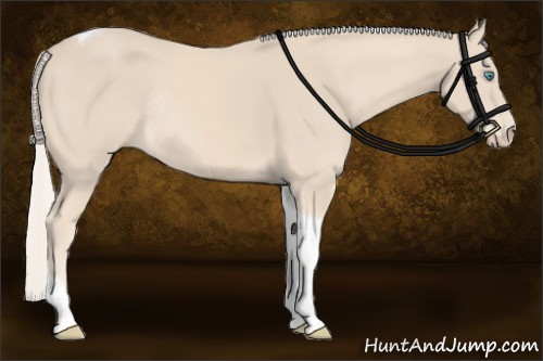 Horse Color:Cremello Sabino Tobiano Rabicano 