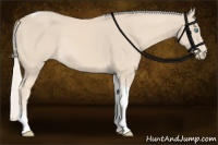 Horse Color:Cremello Sabino Tobiano Rabicano