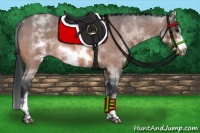 Horse Color:White Spotted Bay Roan Frame 