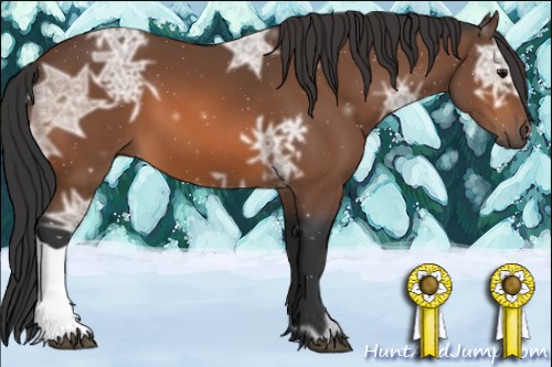 Horse Color:Bay Ice 