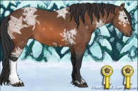Horse Color:Bay Ice 