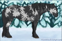 Horse Color:Black Ice 