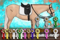 Horse Color:Silver Amber Champagne Rabicano