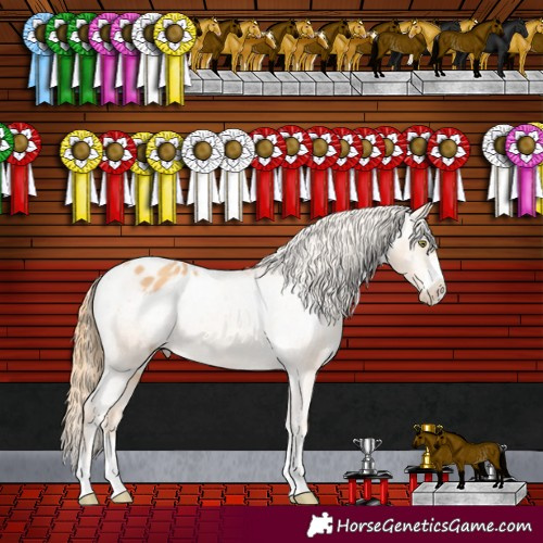Horse Color:Gold Champagne Varnish Rabicano 
