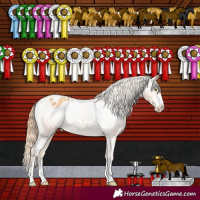 Horse Color:Gold Champagne Varnish Rabicano 