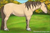 Horse Color:Amber Cream Champagne 